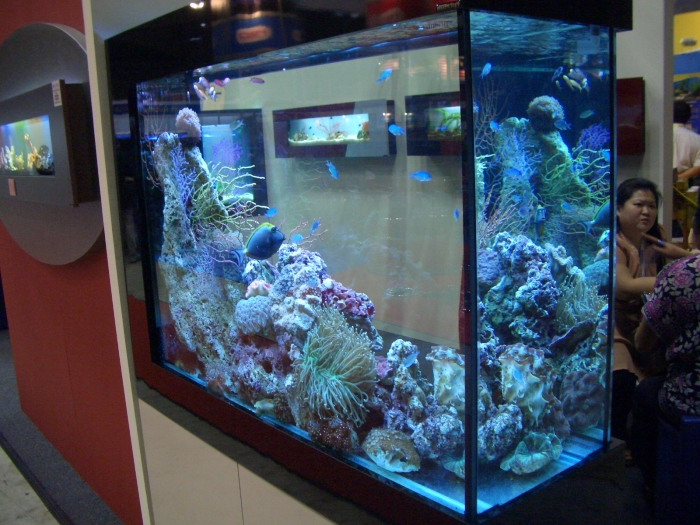 Marine Aquarium